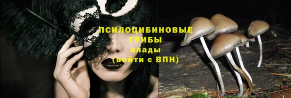 прущая мука Магадан