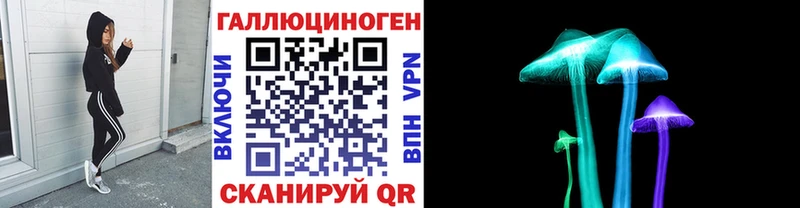 Купить где  Новый Уренгой  Псилоцибиновые грибы Psilocybe 